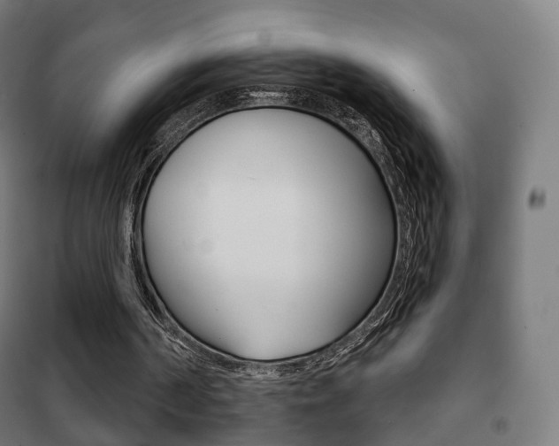 X0000102240194200807250846