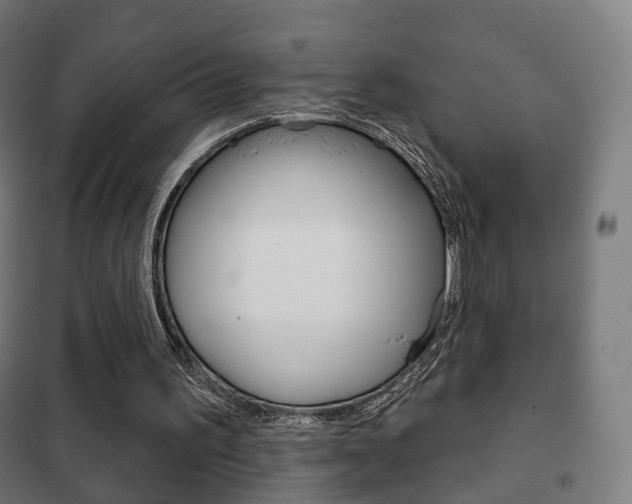 X0000102240195200807250846