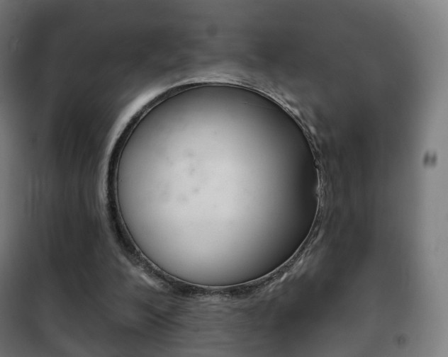 X0000102240200200807250846