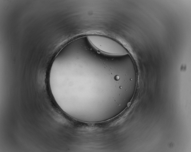 X0000102240201200807250846