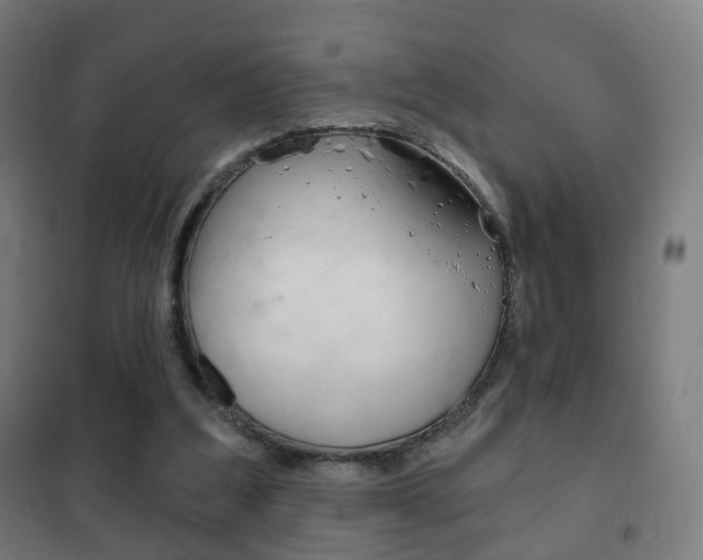 X0000102240203200807250846