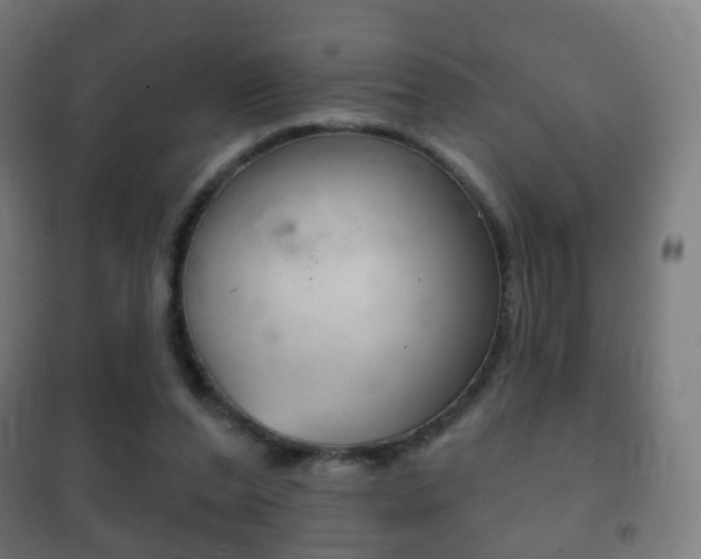 X0000102240208200807250846