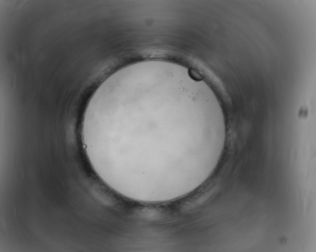 X0000102240209200807250846