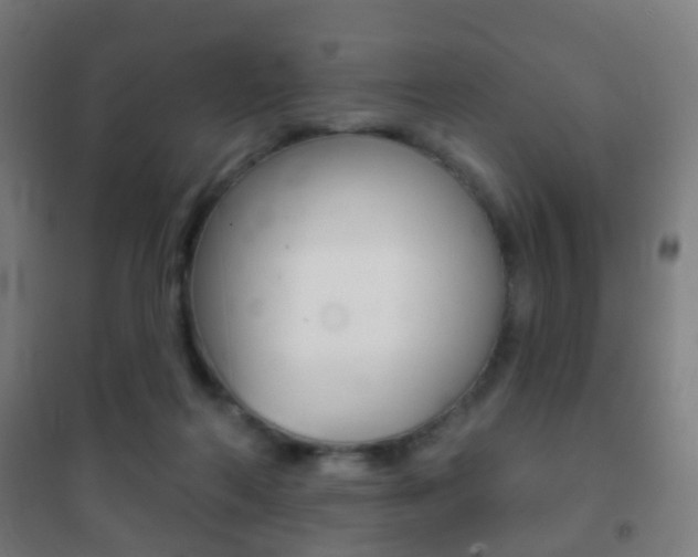 X0000102240214200807250846