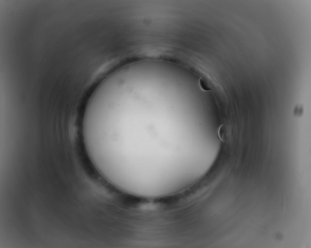 X0000102240216200807250845