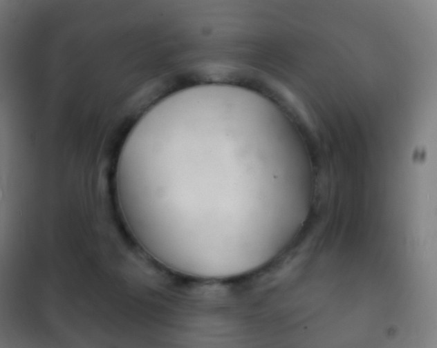 X0000102240217200807250845