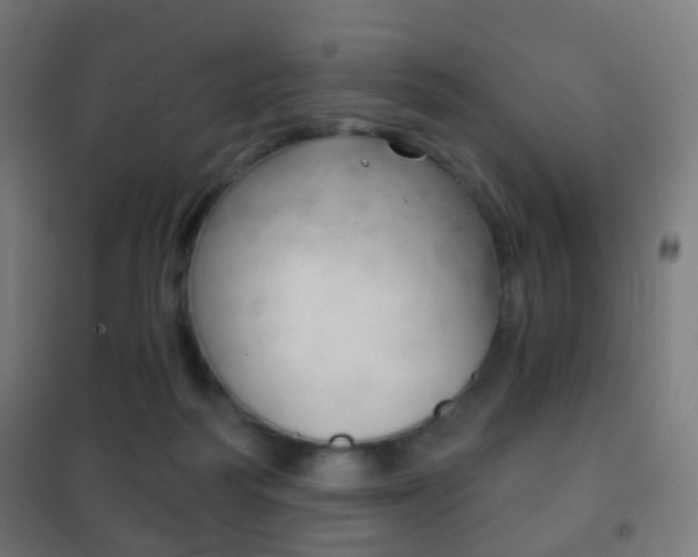 X0000102240218200807250845