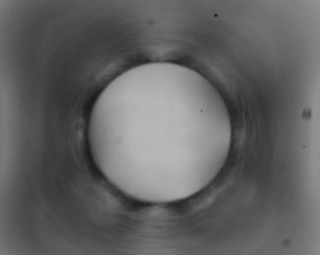 X0000102240219200807250845