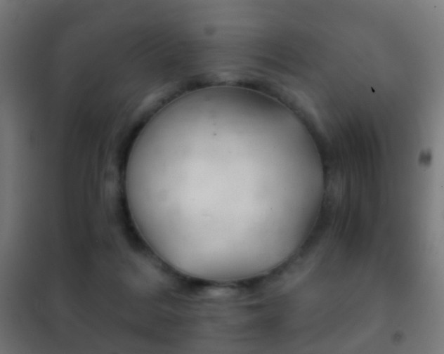 X0000102240220200807250845