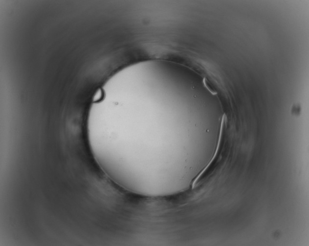 X0000102240221200807250845