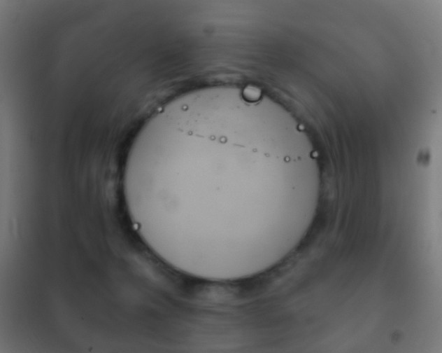 X0000102240223200807250845