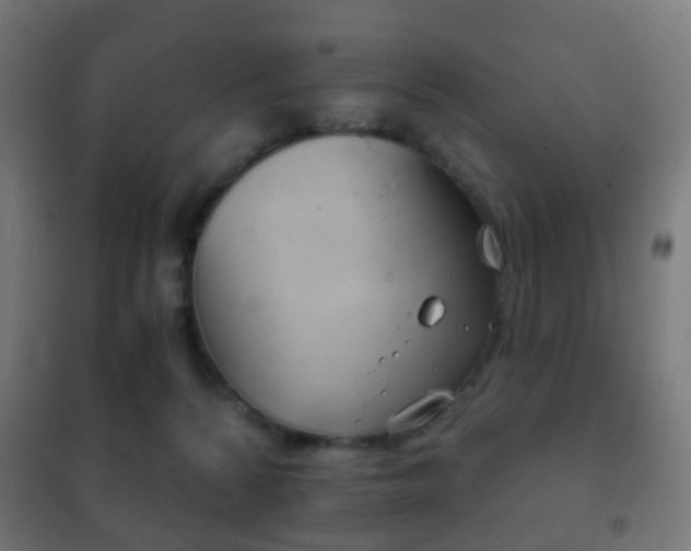 X0000102240224200807250845