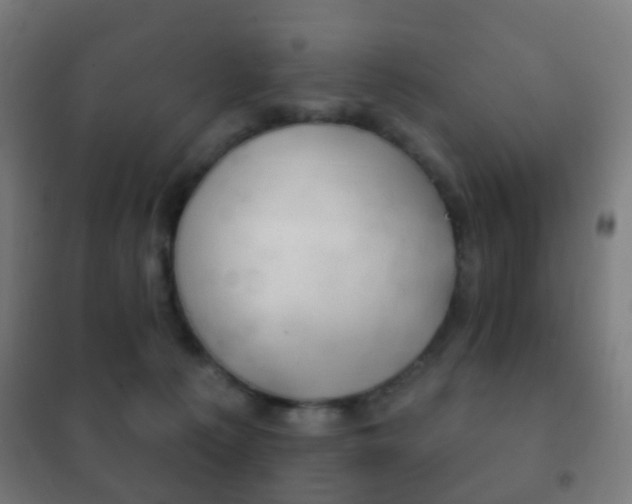 X0000102240225200807250845