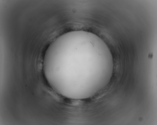 X0000102240226200807250845