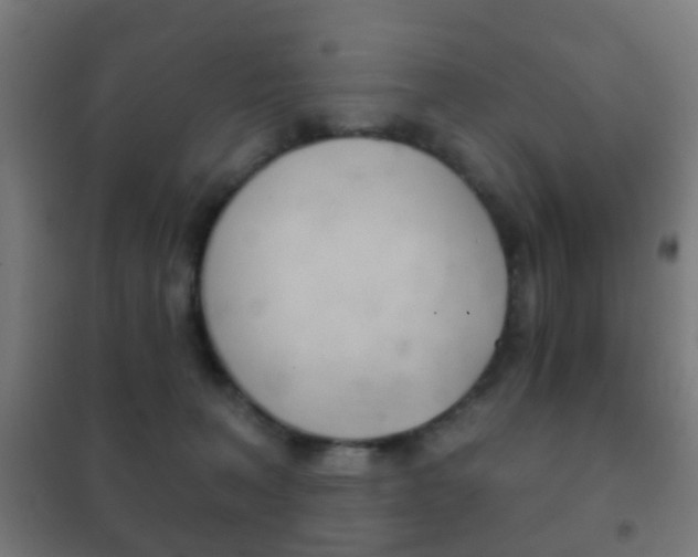 X0000102240227200807250845