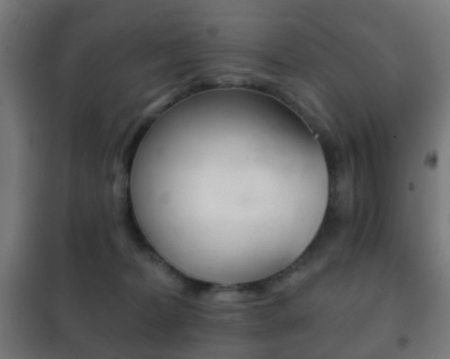 X0000102240228200807250845