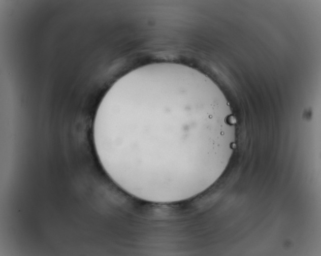 X0000102240229200807250845