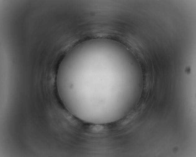 X0000102240230200807250845