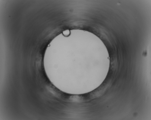 X0000102240231200807250845