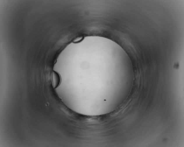 X0000102240232200807250845