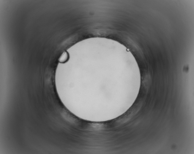 X0000102240233200807250845
