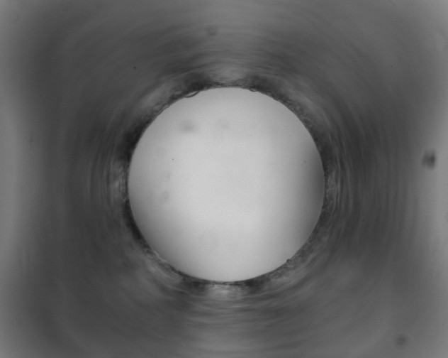 X0000102240234200807250845