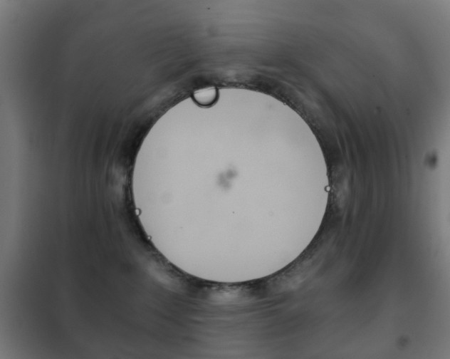 X0000102240235200807250845