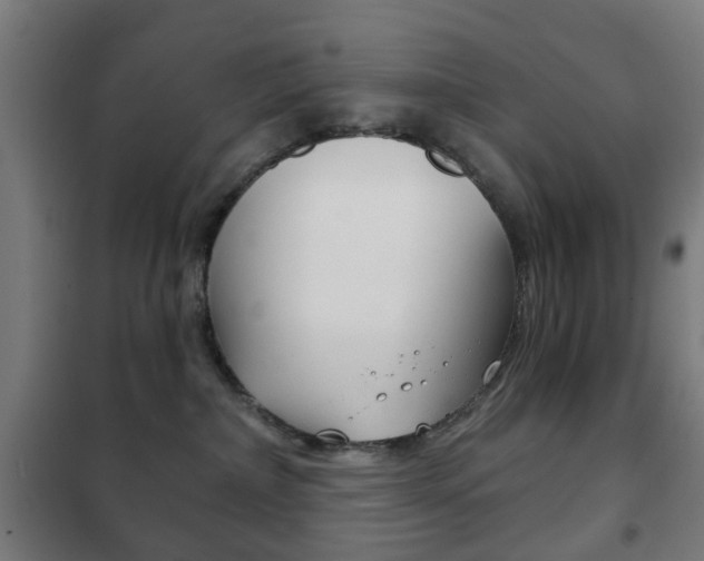 X0000102240236200807250845
