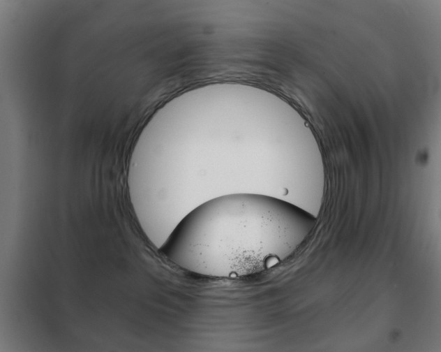 X0000102240237200807250845