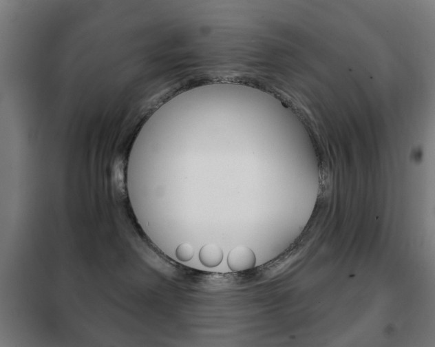 X0000102240238200807250845