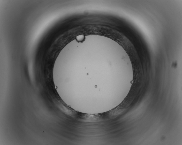 X0000102240239200807250845
