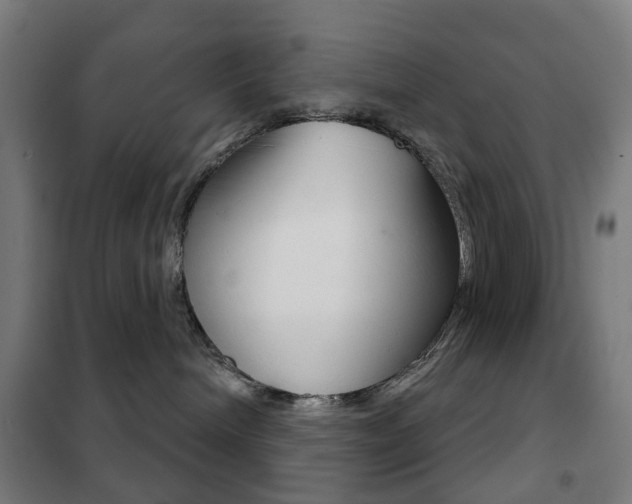 X0000102240240200807250845