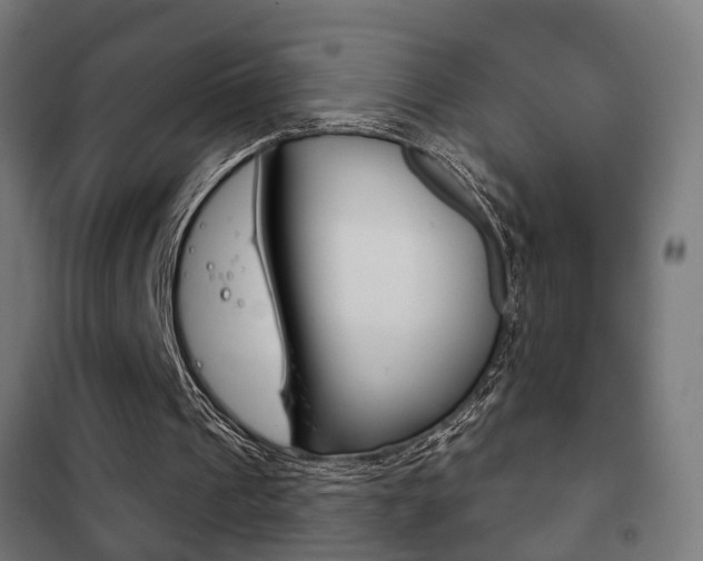 X0000102240241200807250844