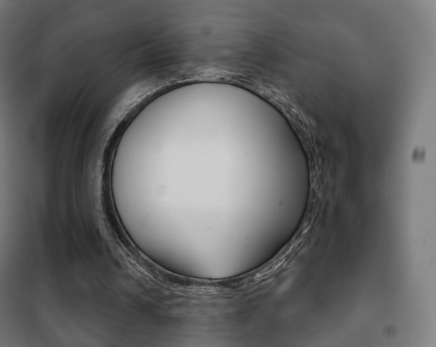 X0000102240242200807250844