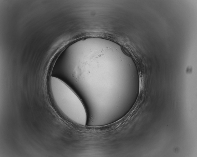 X0000102240243200807250844