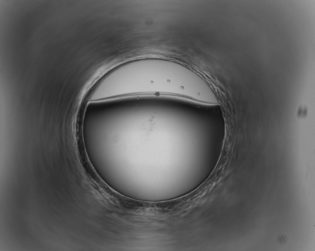 X0000102240244200807250844