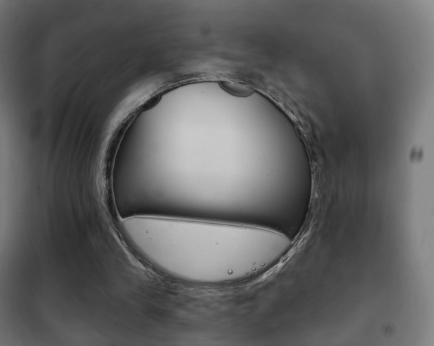 X0000102240245200807250844