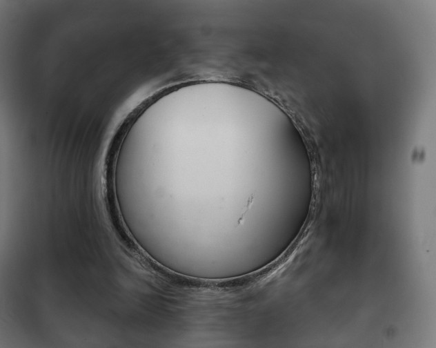 X0000102240246200807250844