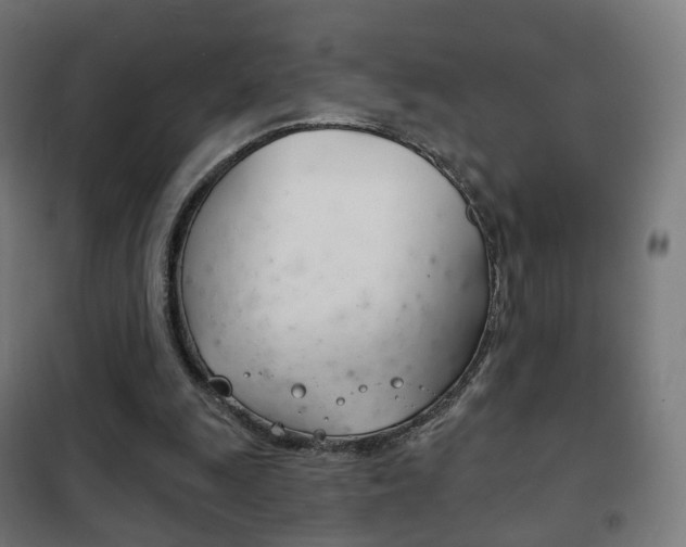 X0000102240247200807250844