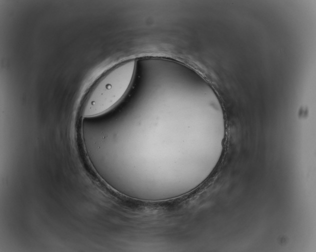 X0000102240248200807250844
