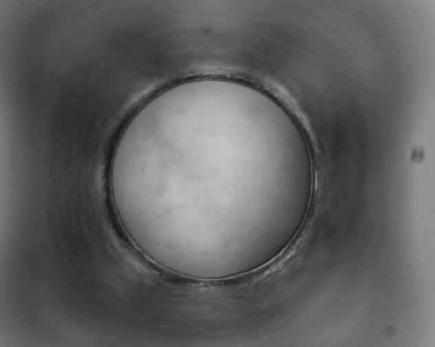 X0000102240249200807250844