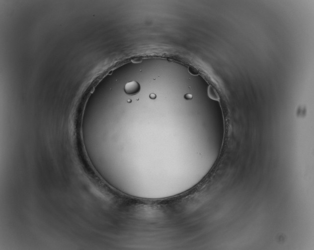 X0000102240250200807250844