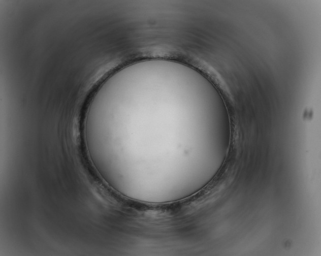 X0000102240251200807250844