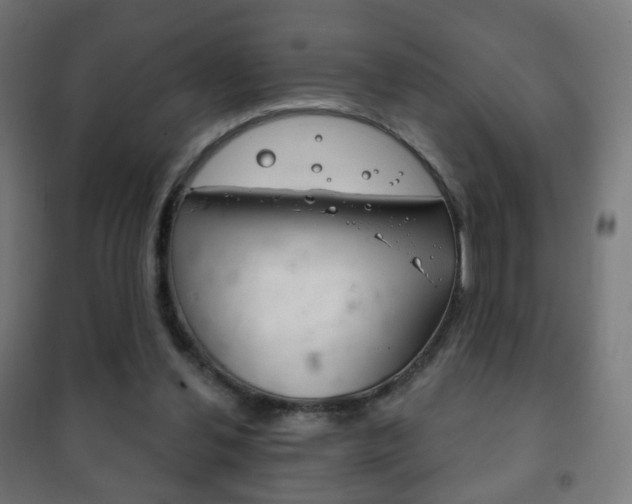 X0000102240252200807250844