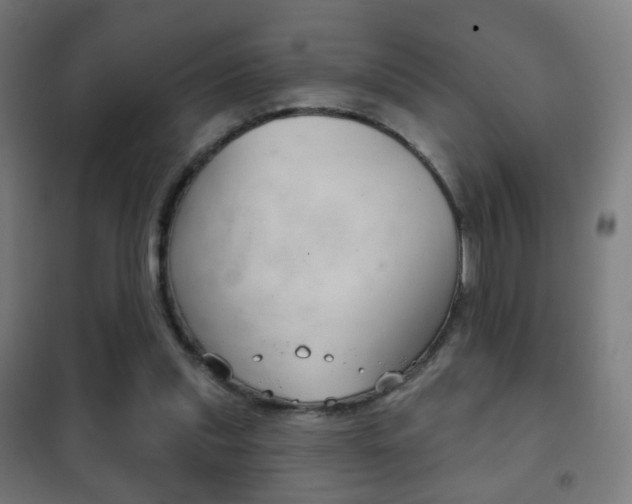 X0000102240253200807250845