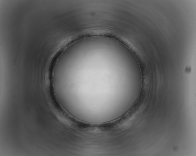 X0000102240254200807250845
