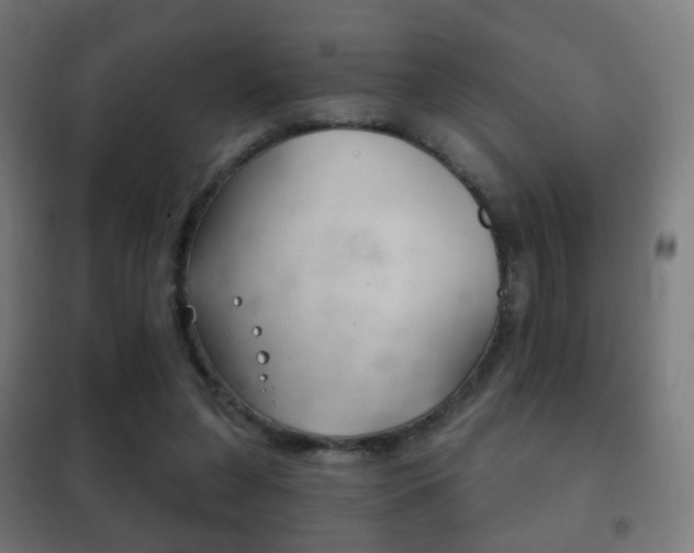 X0000102240255200807250845