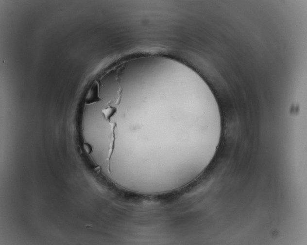X0000102240256200807250845