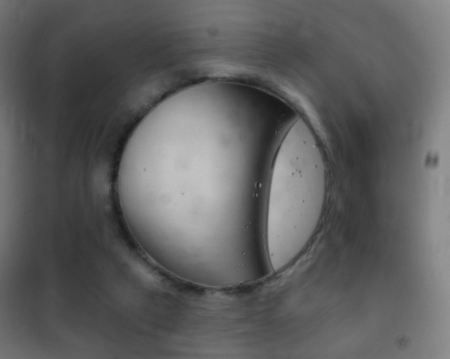 X0000102240257200807250845