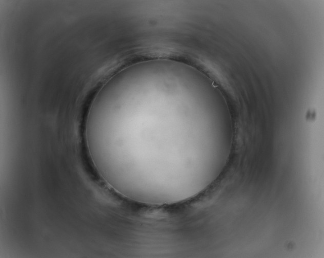 X0000102240258200807250845